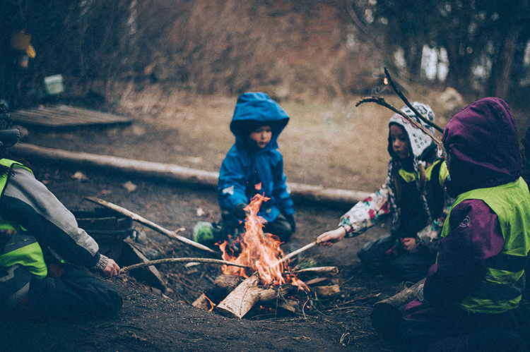Miško darželis Pedagogas.lt