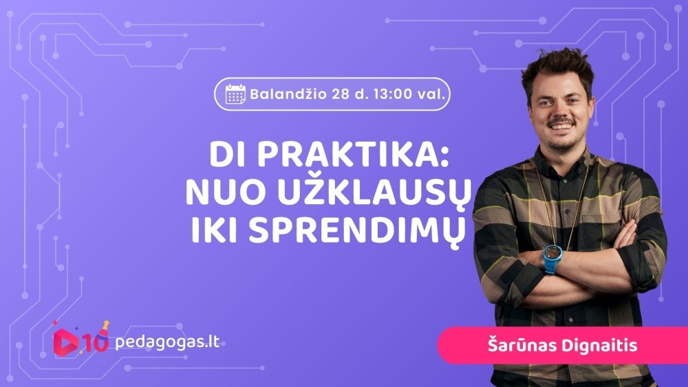DI praktika: nuo užklausų iki sprendimų