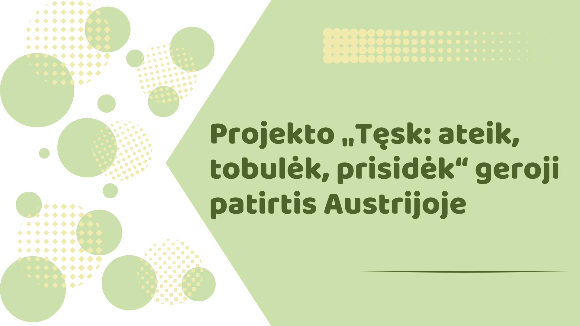Projekto „Tęsk: ateik, tobulėk, prisidėk“ geroji patirtis Austrijoje