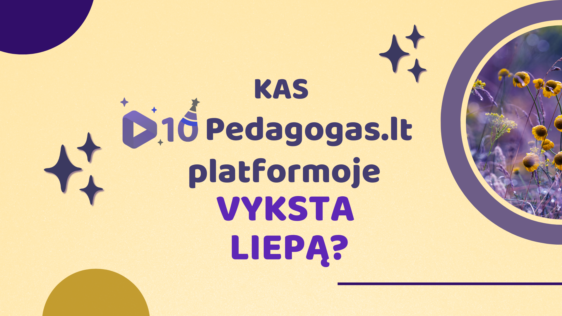 Kas Pedagogas.lt platformoje vyksta liepą?