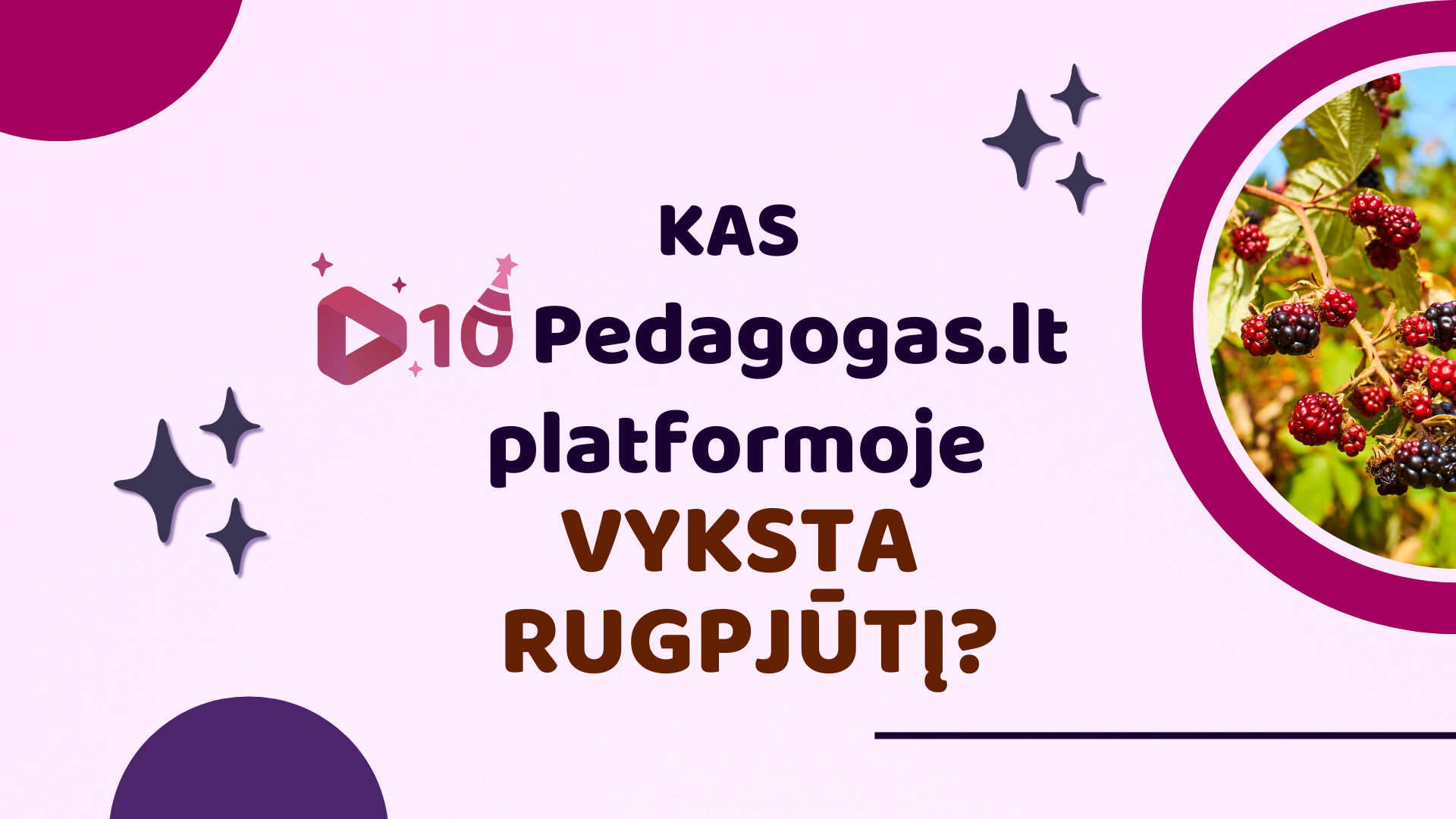 Kas Pedagogas.lt platformoje vyksta rugpjūtį?