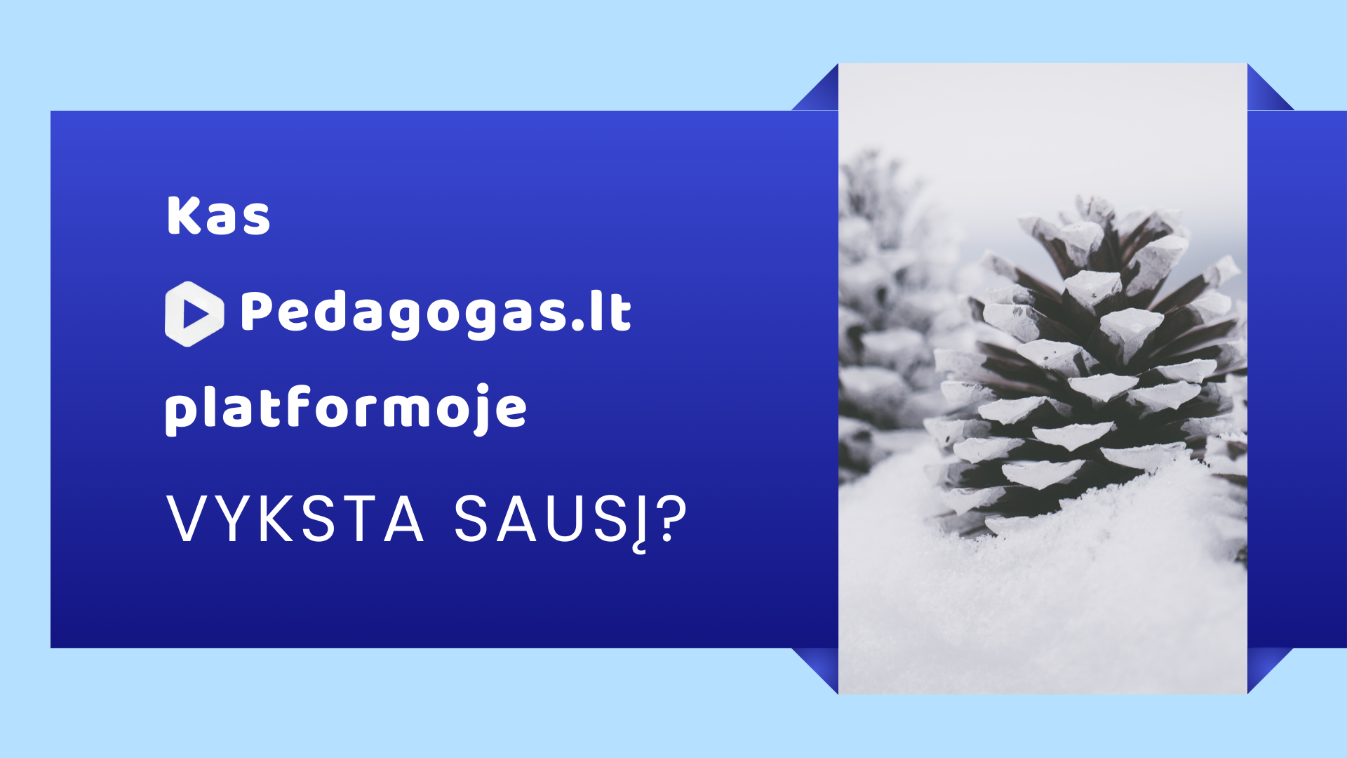 Kas Pedagogas.lt platformoje vyksta sausį?