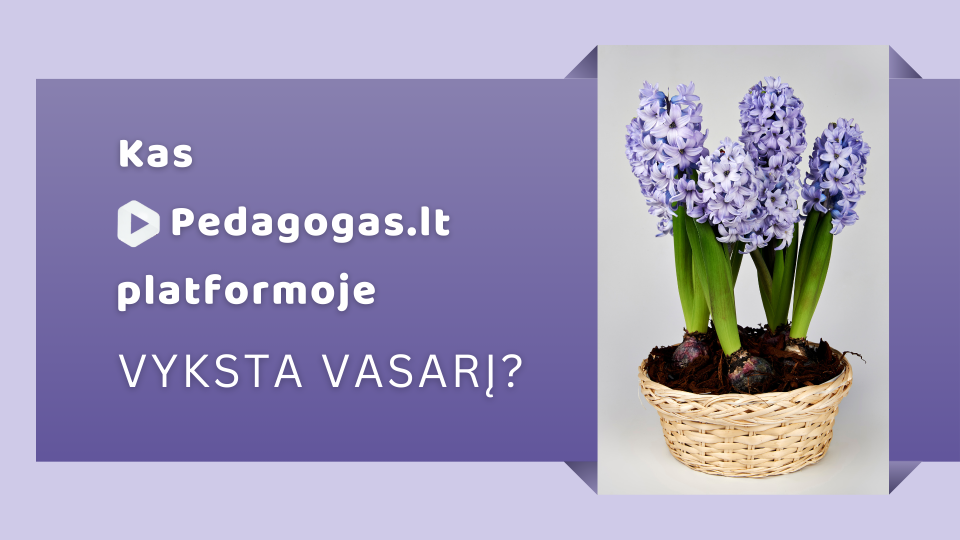 Kas Pedagogas.lt platformoje vyksta vasarį?