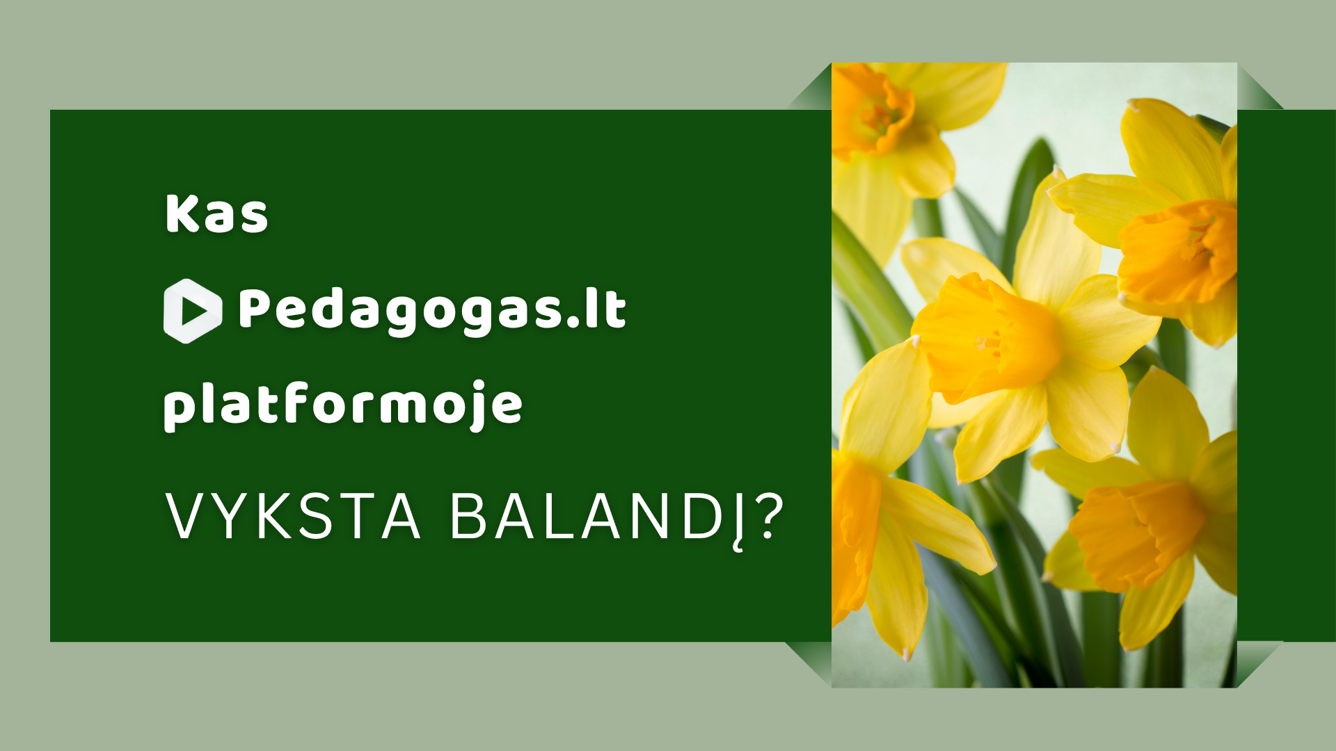 Kas Pedagogas.lt platformoje vyksta balandį? 
