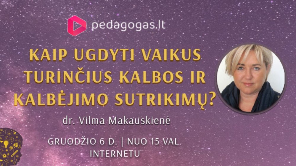 Motyvuojančios literatūros ir gramatikos pamokos