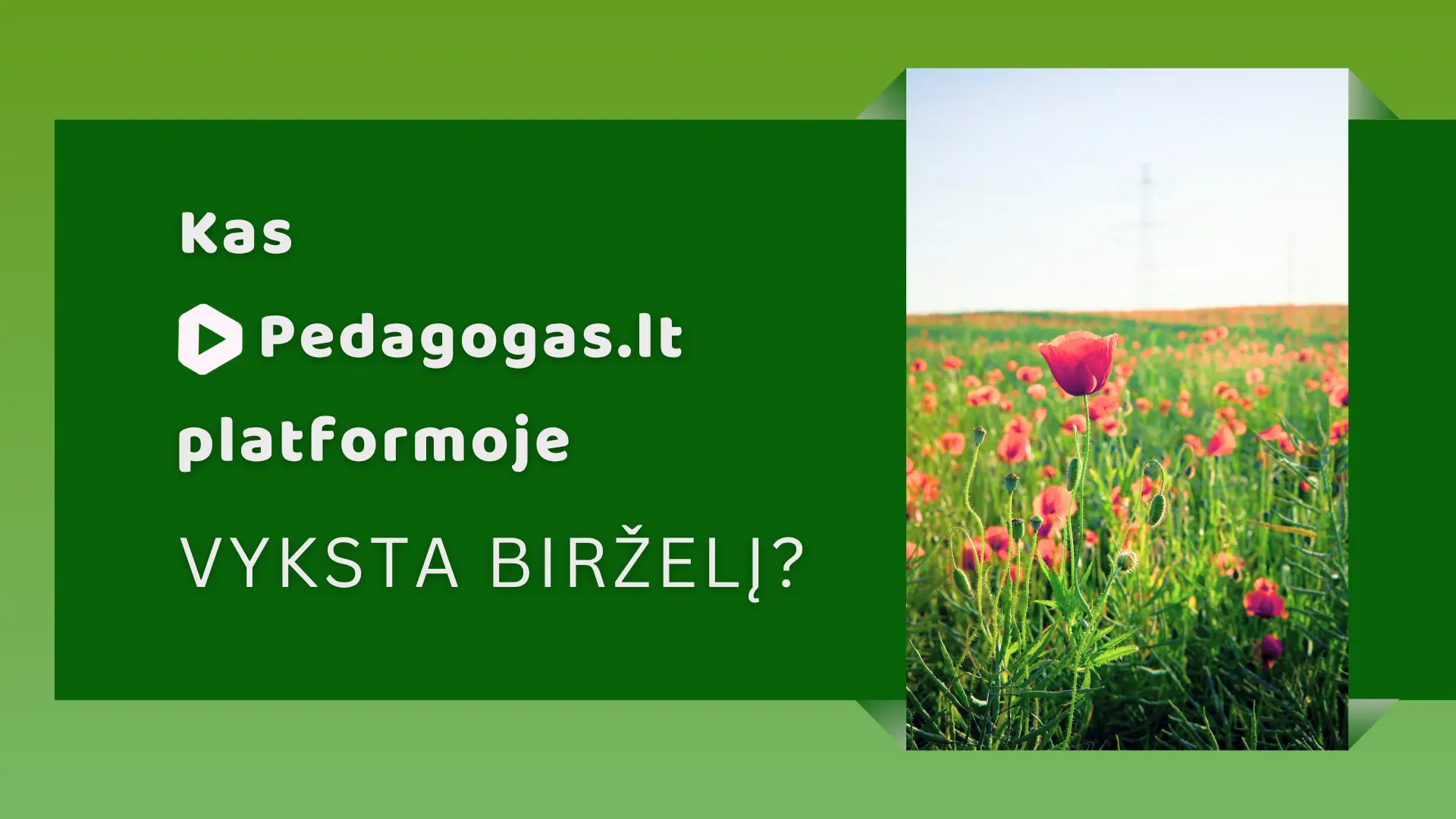 Kas Pedagogas.lt platformoje vyksta birželį? 