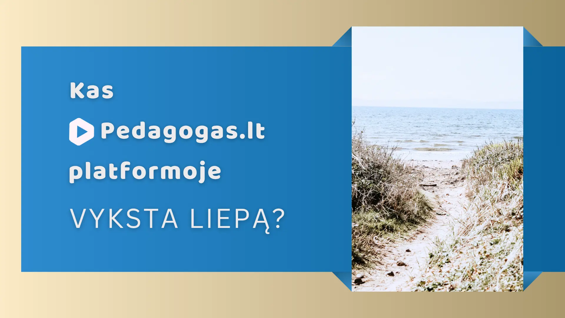 Kas Pedagogas.lt platformoje vyksta liepą?