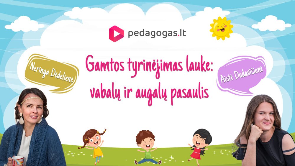 Gamtos tyrinėjimas lauke: vabalų ir augalų pasaulis