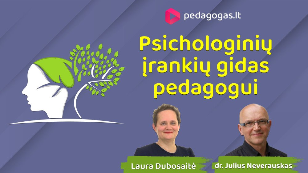 Psichologinių įrankių gidas pedagogui