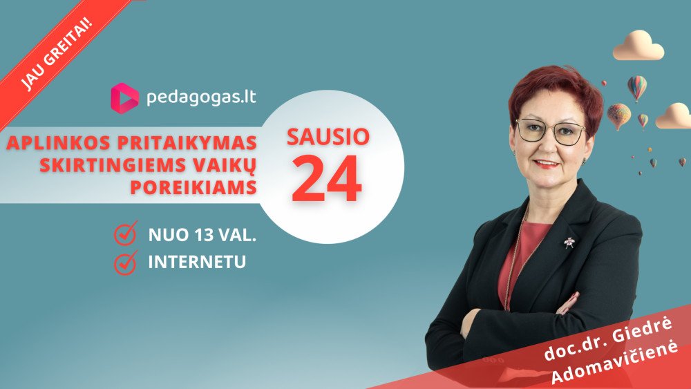 Aplinkos pritaikymas skirtingiems vaikų poreikiams. TD '24